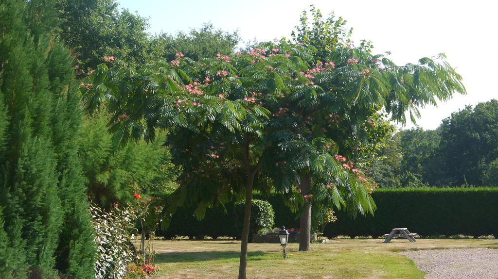 Chambres D'Hotes Les Sageais Baguer-Morvan Exterior foto